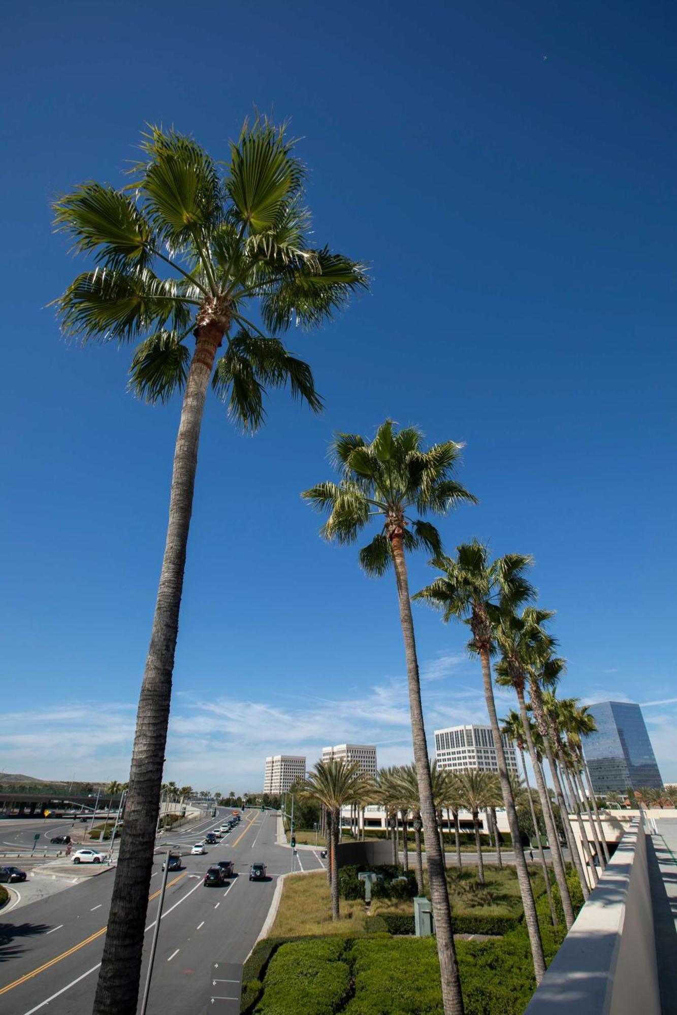 Hyatt Regency Irvine Otel Dış mekan fotoğraf